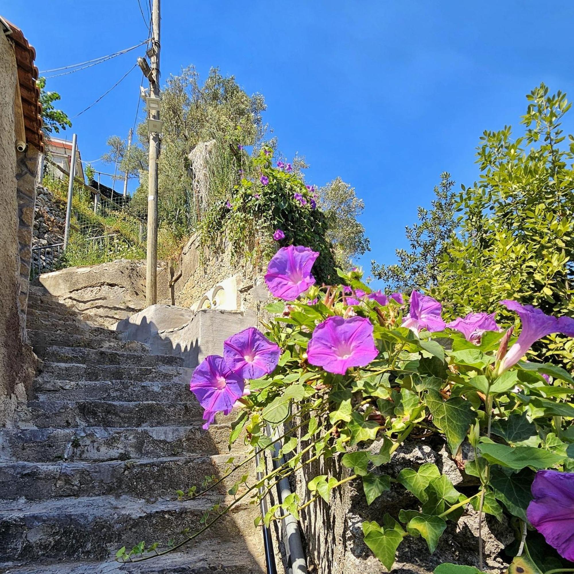 Villa Ines HolidayHouse Maiori Exterior foto